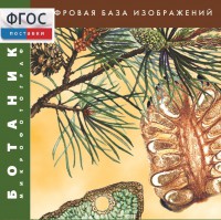 Ботаника. Микрофотографии. (Цифровая база изображений) - fgospostavki.ru - Лесной