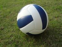 Мяч волейбольный звенящий - fgospostavki.ru - Лесной