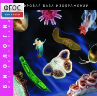 Биология. Микрофотографии. (Цифровая база изображений) - fgospostavki.ru - Лесной