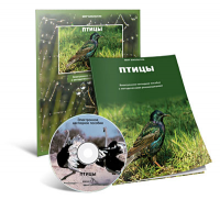 Электронное наглядное пособие «Птицы» - fgospostavki.ru - Лесной