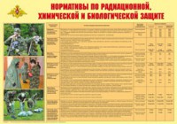 Плакат "Нормативы по радиационной, химической и биологической защите" - fgospostavki.ru - Лесной