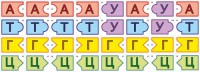 Модель-аппликация Удвоение ДНК и транскрипция РНК - fgospostavki.ru - Лесной