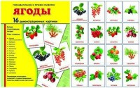 Демонстрационные карточки "Ягоды" - fgospostavki.ru - Лесной