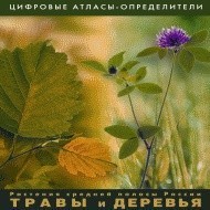 Растения средней полосы России "Травы и Деревья". (Цифровые атласы-определители) - fgospostavki.ru - Лесной