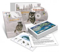 Комбинированное наглядное пособие «Животные» - fgospostavki.ru - Лесной