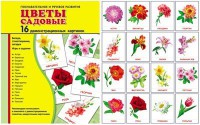 Демонстрационные карточки "Цветы садовые" - fgospostavki.ru - Лесной
