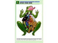 Рельефная таблица "Внутреннее строение лягушки" (формат А1, матовое ламинирование) - fgospostavki.ru - Лесной