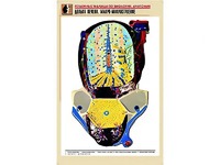 Рельефная таблица "Долька печени. Макро-микростроение" (формат А1, матовое ламинирование) - fgospostavki.ru - Лесной