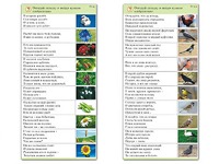 Комплект карточек (10) "Обучающий калейдоскоп. Природа" - fgospostavki.ru - Лесной