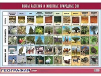 Таблица демонстрационная "Почвы, растения и животные природных зон" (винил 70*100) - fgospostavki.ru - Лесной