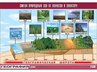 Таблица демонстрационная "Смена природных зон от полюсов к экватору" (винил 70*100) - fgospostavki.ru - Лесной