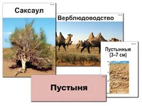 Модель-аппликация "Природные зоны России" (ламинированная) - fgospostavki.ru - Лесной
