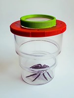 Коробка для изучения насекомых (с лупой) - fgospostavki.ru - Лесной