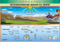 Таблица "Возникновение жизни на земле" (100х140 сантиметров, винил) - fgospostavki.ru - Лесной