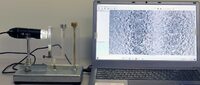 Лабораторная установка «Определение коэффициента взаимной диффузии воздуха и водяного пара»  - fgospostavki.ru - Лесной