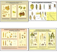 Плакаты ПРОФТЕХ "Вредители и болезни с/х культур и меры борьбы с ними" (11 пл, винил, 70х100) - fgospostavki.ru - Лесной