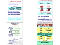 Плакаты ПРОФТЕХ "Классификации и виды мяса" (4 пл, винил, 70х100) - fgospostavki.ru - Лесной