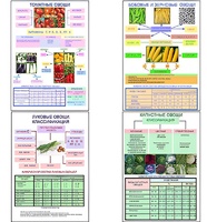 Плакаты ПРОФТЕХ "Классификация овощей" (11 пл, винил, 70х100) - fgospostavki.ru - Лесной