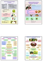 Плакаты ПРОФТЕХ "Классификация овощей и переработка" (8 пл, винил, 70х100) - fgospostavki.ru - Лесной