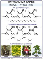 Комплект демонстрационных таблиц по химии "Полимеры" (комплект 12 таблиц) - fgospostavki.ru - Лесной