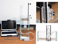 Набор демонстрационный «Гидростатика и плавание тел» - fgospostavki.ru - Лесной