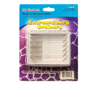 Набор микропрепаратов для микроскопа №3 «Необычное в обычном» - fgospostavki.ru - Лесной