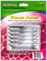 Набор микропрепаратов для микроскопа №6 «Цветы» - fgospostavki.ru - Лесной