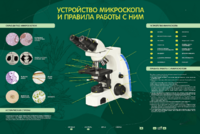 Электрифицированный стенд "Устройство микроскопа и правила работы c ним" - fgospostavki.ru - Лесной