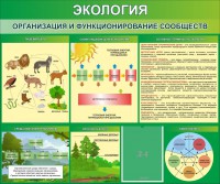 Стенд "Экология. Организация и функционирование сообществ" - fgospostavki.ru - Лесной