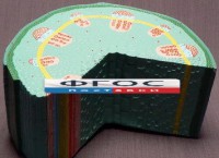 Модель "Стебель растения" - fgospostavki.ru - Лесной