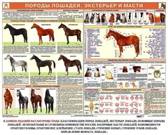 Комплект плакатов "Служебное коневодство" - fgospostavki.ru - Лесной