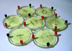 Демонстрационный комплект «Силовые линии электрического поля разных систем зарядов» - fgospostavki.ru - Лесной