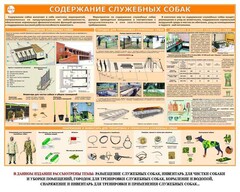 Комплект плакатов "Кинология" - fgospostavki.ru - Лесной
