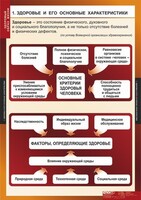 Комплект таблиц. ОБЖ. Здоровый образ жизни. - fgospostavki.ru - Лесной