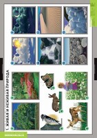 Комплект таблиц. Окружающий мир. Летние и осенние изменения в природе. - fgospostavki.ru - Лесной