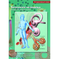 Интерактивные плакаты. Биология человека. Программно-методический комплекс - fgospostavki.ru - Лесной