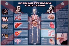 Электрифицированный стенд "Вредные привычки: алкоголизм" - fgospostavki.ru - Лесной