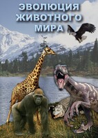 DVD "Эволюция животного мира" - fgospostavki.ru - Лесной