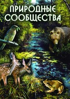 DVD "Природные сообщества" - fgospostavki.ru - Лесной