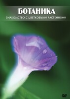 DVD "Ботаника. Знакомство с цветковыми растениями" - fgospostavki.ru - Лесной