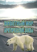 DVD "Животный мир Арктической зоны" - fgospostavki.ru - Лесной