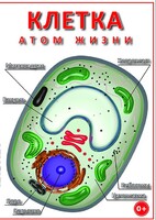 DVD "Клетка - "атом жизни" - fgospostavki.ru - Лесной