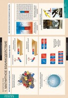 Комплект таблиц. Физика. Магнитное поле. - fgospostavki.ru - Лесной