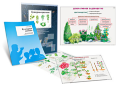 Комплект кодотранспарантов "Культурные растения" - fgospostavki.ru - Лесной