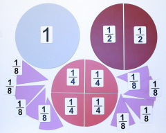 Набор магнитных карточек "Доли и дроби - 1" - fgospostavki.ru - Лесной