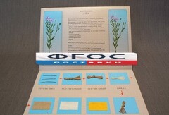 Коллекция "Лен для начальной школы" - fgospostavki.ru - Лесной