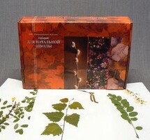 Гербарий для Начальной школы (28 видов) - fgospostavki.ru - Лесной