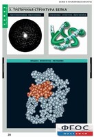 Комплект таблиц. Химия. Белки и нуклеиновые кислоты. - fgospostavki.ru - Лесной