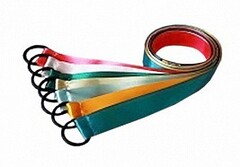Лента гимнастическая на кольце (0,25 метра) - fgospostavki.ru - Лесной