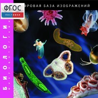 Биология. Микрофотографии. (Цифровая база изображений) - fgospostavki.ru - Лесной